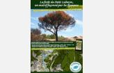 Topoguide et son application « Luberon Topo Feu »