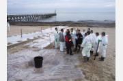 Pollutions marines - Formation des correspondants 