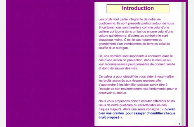 Bruits et risques majeurs