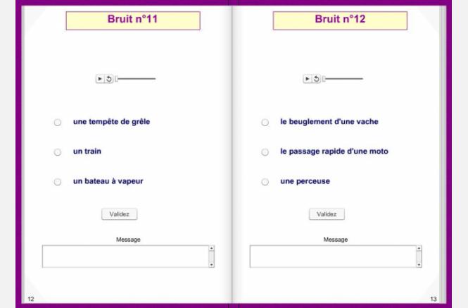 Bruits et risques majeurs