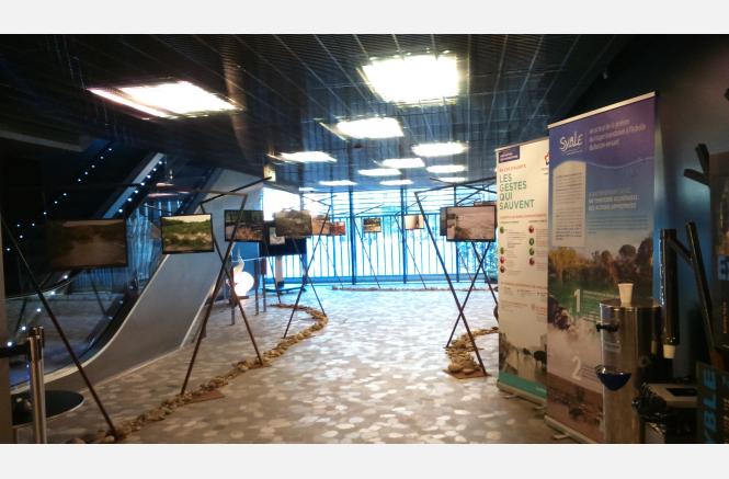 « Histoire de crues – 15 ans d’inondations sur le bassin versant du Lez »